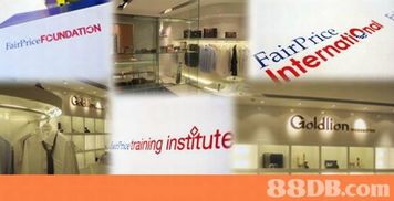 bigfish design ltd 多元品牌與網(wǎng)站設(shè)計(jì)服務(wù)的領(lǐng)航者