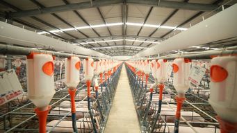 復產集結號吹響 齊心協力保衛養豬業，保障飼料供應穩定