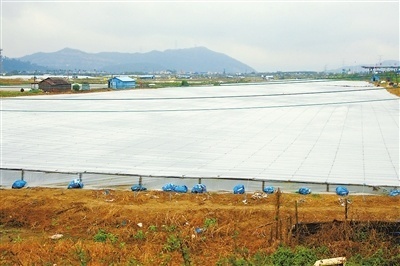 巧用糖水與“棉被” 專(zhuān)家與養(yǎng)殖戶(hù)聯(lián)手，科學(xué)應(yīng)對(duì)寒潮守護(hù)畜禽菜籃