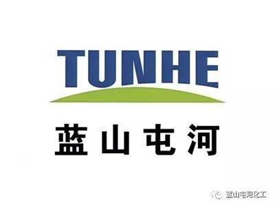 藍山屯河聚酯公司榮獲“自治區(qū)綠色工廠”稱號，推動綠色可持續(xù)發(fā)展